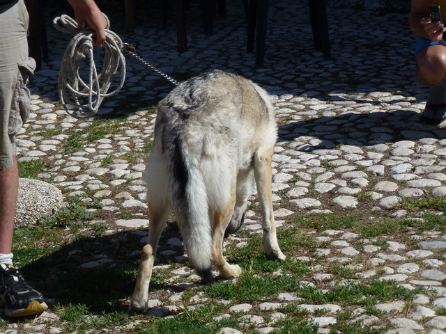 P1020479.JPG