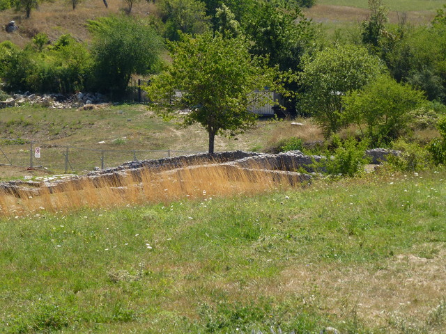 P1020490.JPG