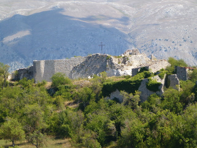 P1020491.JPG