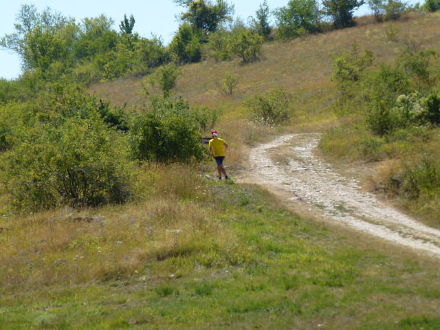 P1020492.JPG