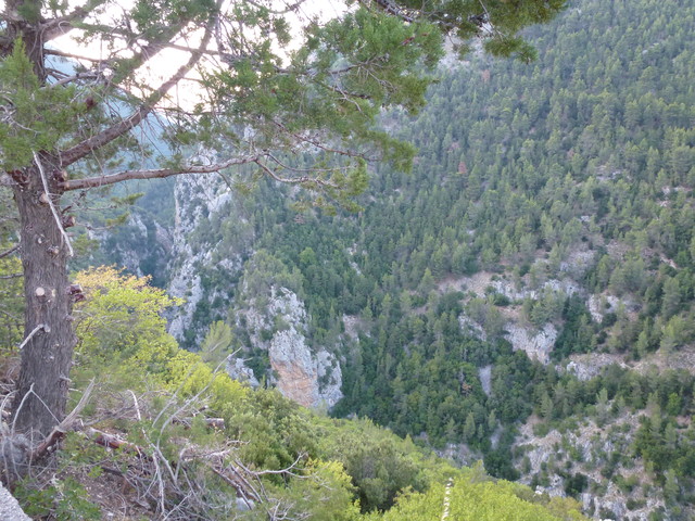 P1020521.JPG