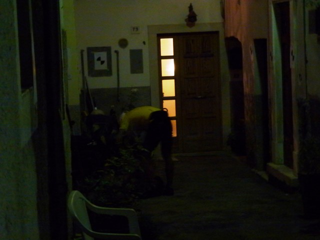 P1020530.JPG