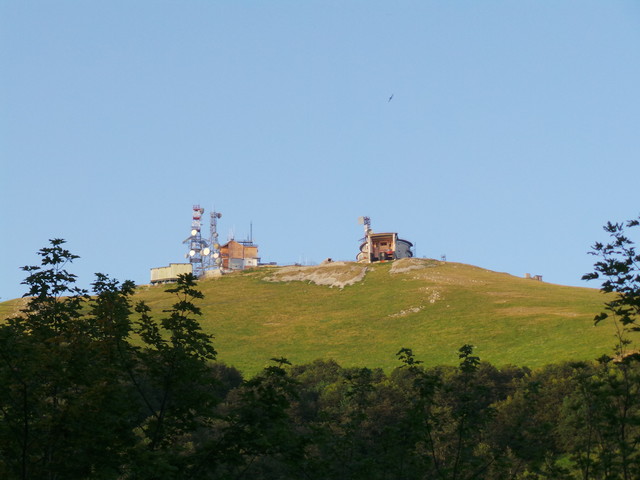 2013-08-07 19.50.26.jpg