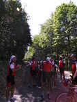 2013-08-08 11.07.08.jpg