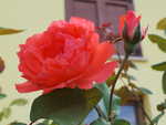 2013-08-09 10.09.30.jpg