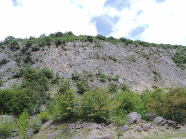 2016-08-08 13.52.26