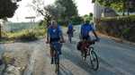 IMG 8841