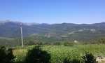 IMG 8878