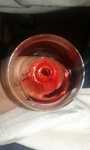 IMG 8886