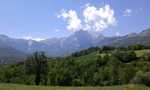 IMG 8887