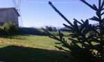 IMG 8891