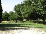 DSC00064