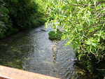 DSC00097