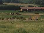 IMG 5637