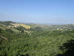 DSC01021