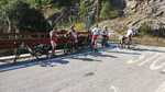 IMG 4478