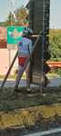 IMG 4489 12