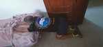 IMG 4587