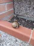 IMG 4590