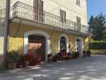 IMG 4730