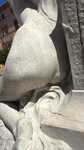 IMG 4772