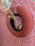 IMG 4797 2