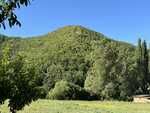 IMG 5126