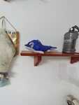 IMG 5171 3