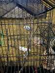 IMG 5173