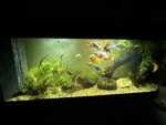 IMG 5192
