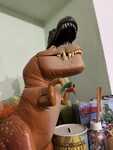 IMG 5193
