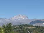 IMG 5205